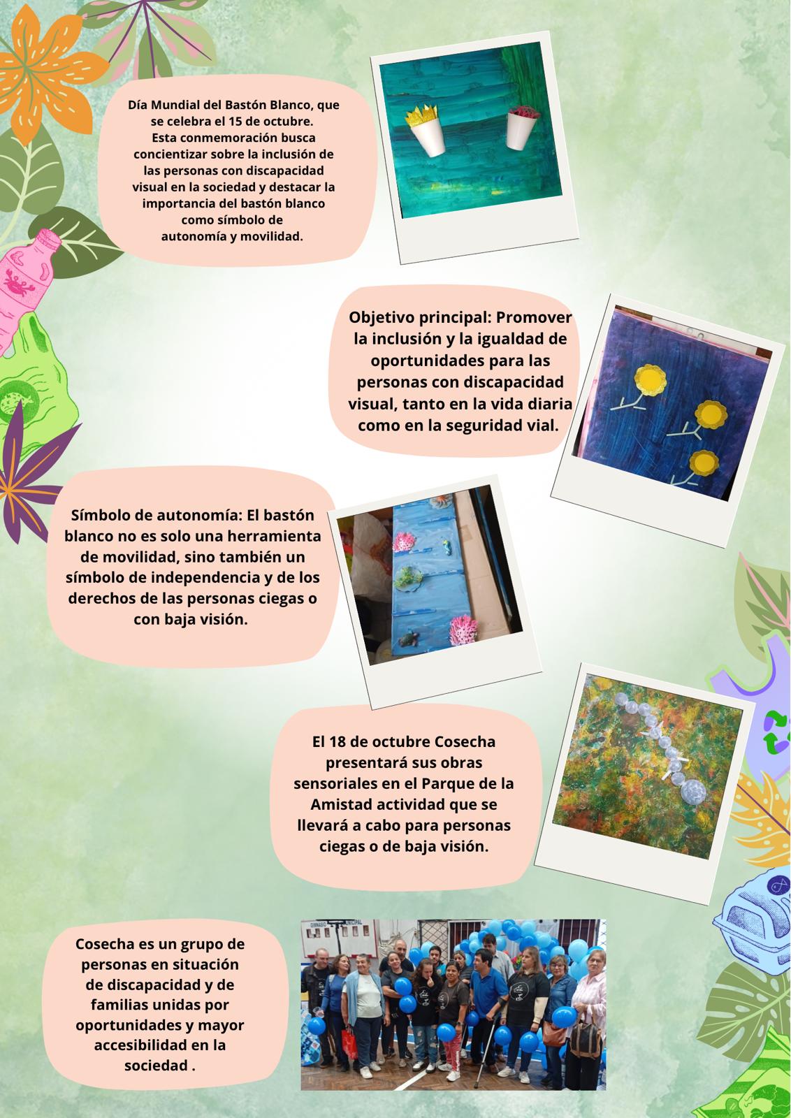 Imagen de la publicación