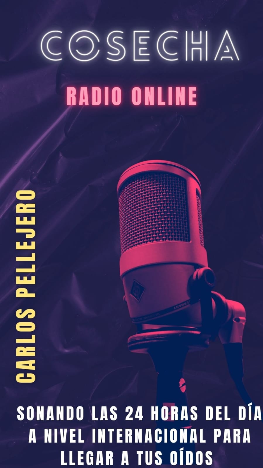 Imagen de la publicación