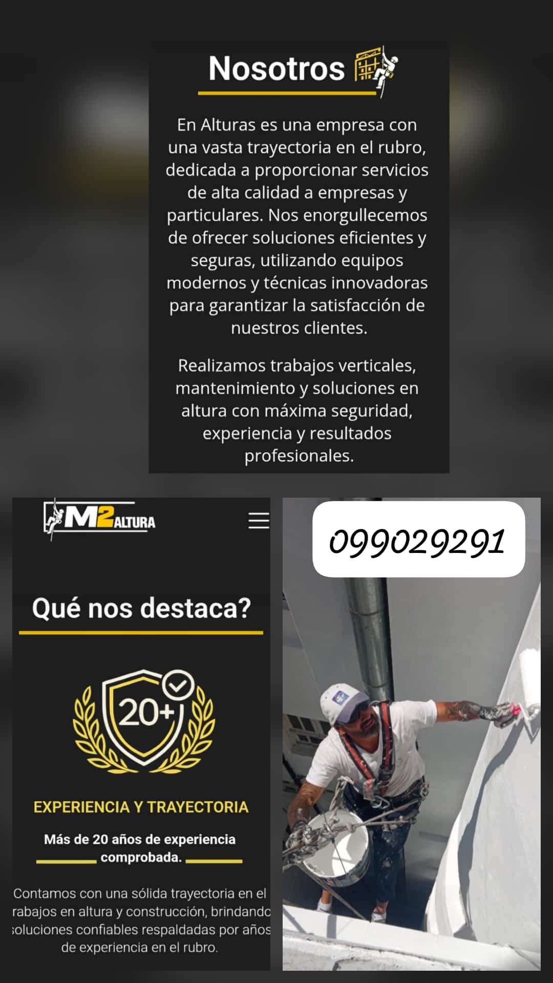 Imagen de la publicación